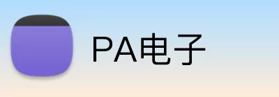 PA电子 Logo